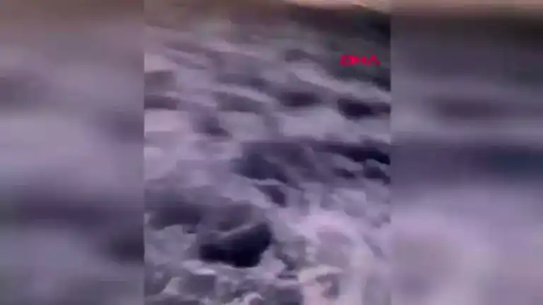 Çanakkale'de Rekor Av: 17 Ton Sardalya!